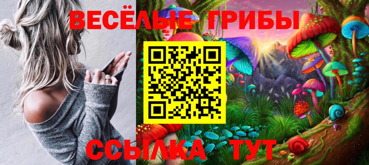 Псилоцибиновые грибы прущие грибы Отрадный